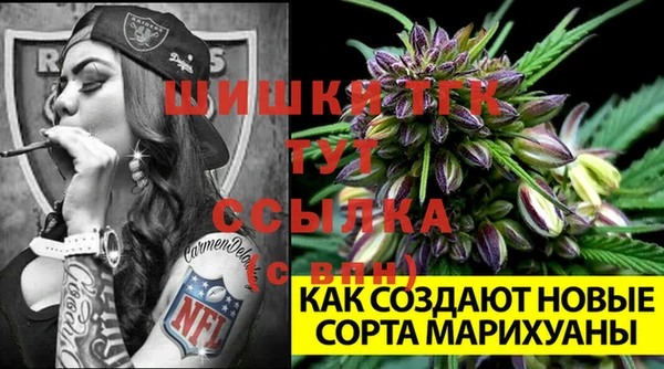 гидра Каменногорск