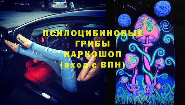 гидра Каменногорск