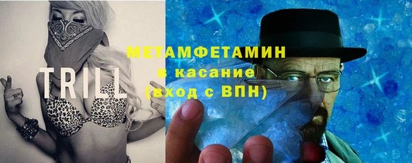 гидра Каменногорск