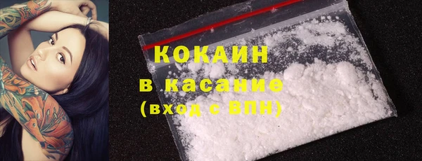 ECSTASY Каменка