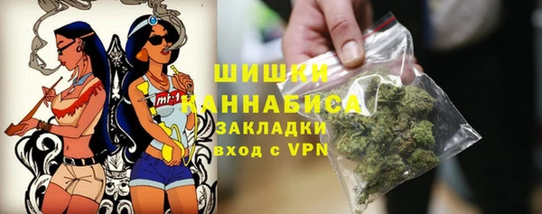 ECSTASY Каменка