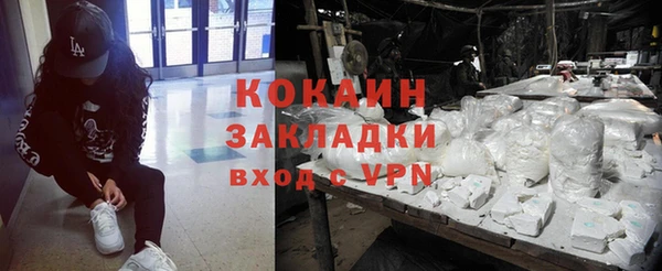гидра Каменногорск