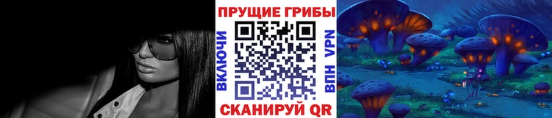 Купить где  Шали  Галлюциногенные грибы мухоморы 